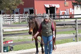 LR-WRF 0402026 Retreat-3235